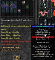 feather of condor.jpg feather of condor.jpg