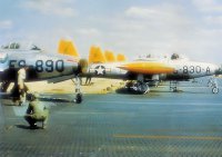 F-84g-51-890-494th&#4.jpg