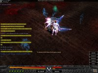 GANADOR FALKON..JPG GANADOR FALKON..JPG