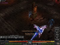 FALKON WIN..JPG FALKON WIN..JPG