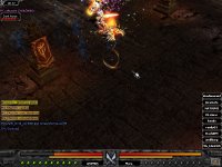 ANIMUS WIN 2..JPG ANIMUS WIN 2..JPG