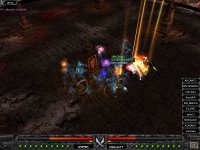 ANIMUS WIN..JPG ANIMUS WIN..JPG