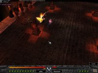 PELLON VS WILD..JPG PELLON VS WILD..JPG