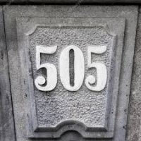 505.jpg